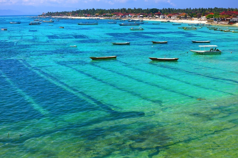 Seaweed farm Lembongan